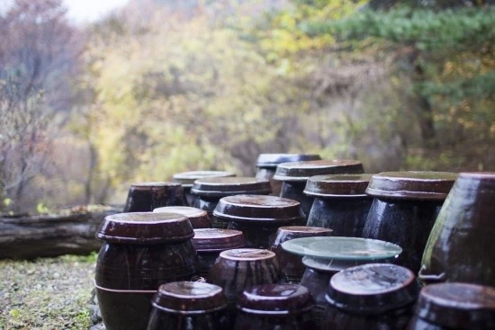 jar-364145_960_720.jpg?type=w3