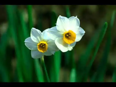 hqdefault.jpg?type=w3