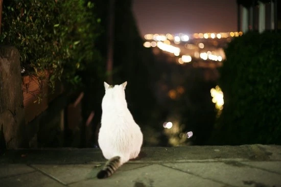 IMG_3267.jpg?type=w3