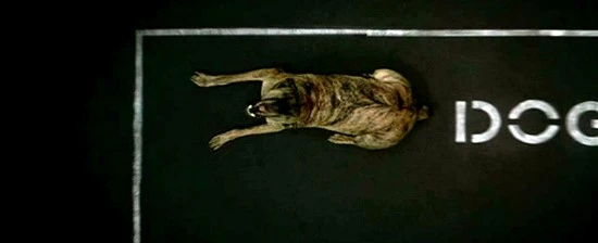 B5B5B1%D7%BAF4_DVD_XviD_AC3_avi_010335358.jpg?type=w3