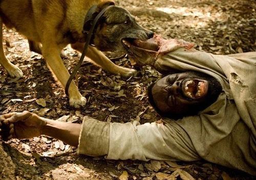 33018_71361_2513.jpg?type=w3