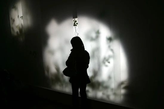 1281165141.jpg?type=w3