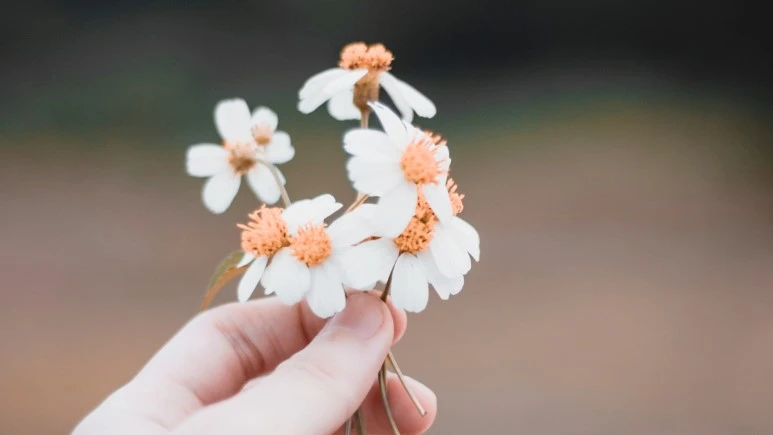 SE-82079222-ffd7-475e-b2e0-9c703be92c1a.jpg?type=w773