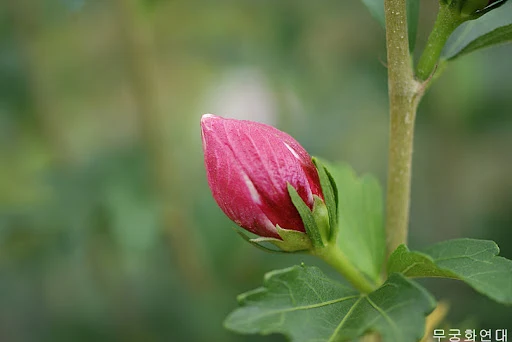 mmAhWXe3Rj3_ZdgDAU77-qTkQWE0eHXRfR68Ck7ua8FiXzp86dfgaexE-nOQ1OqT0I3V-iTtzBsqZI7kvqIrzGgKsDbCpBQC3XxQ7fRV