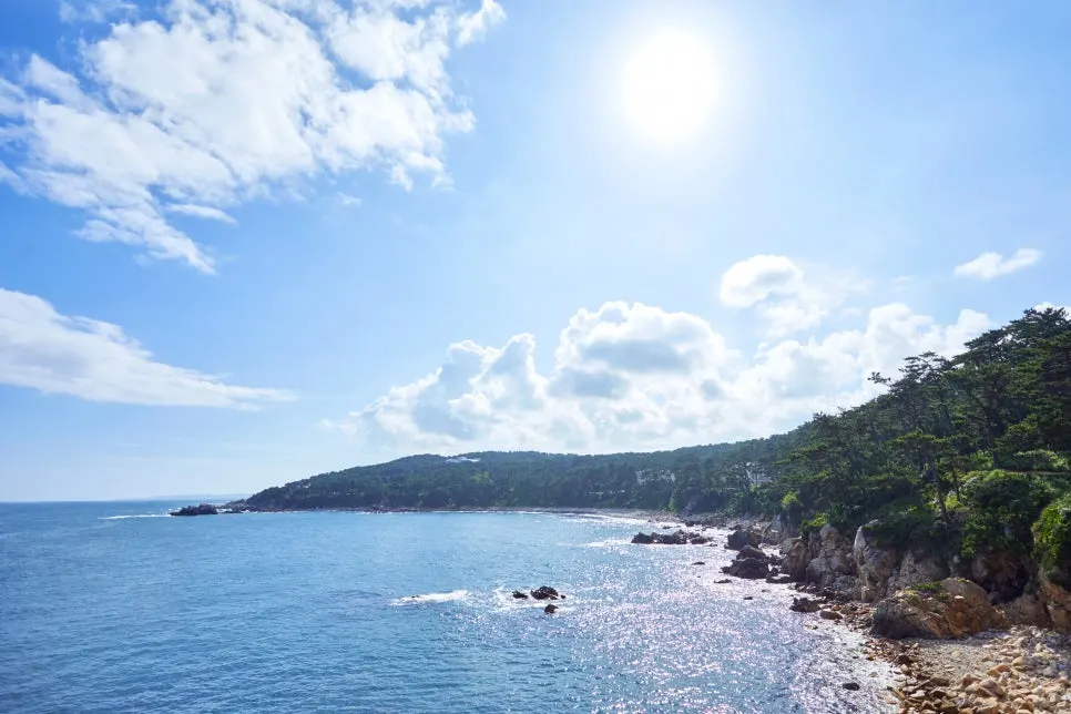 GettyImages-jv13677174.jpg?type=w966