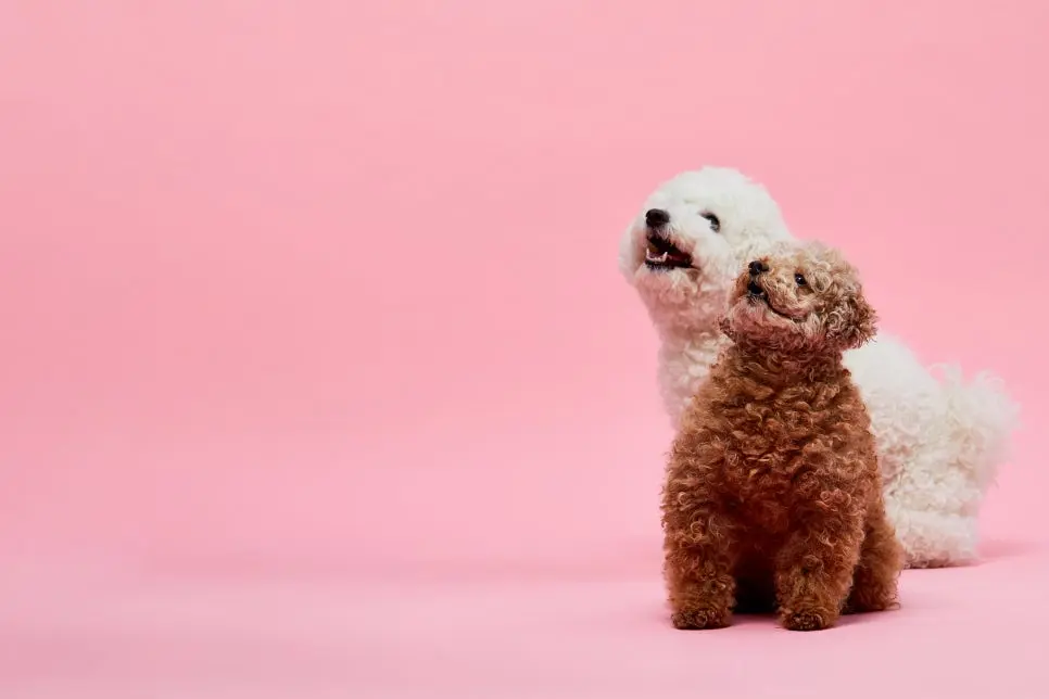 GettyImages-jv12568382.jpg?type=w966