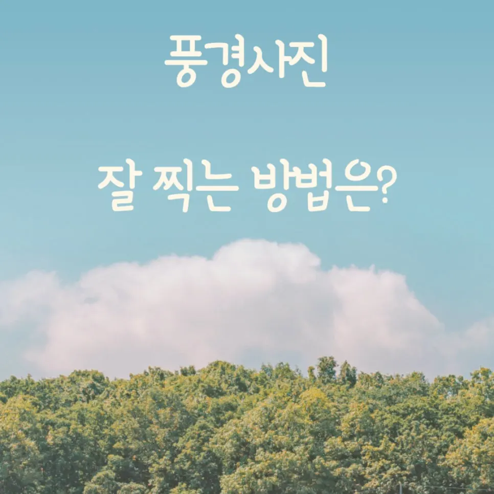 0911_%EB%B3%B4%EC%9D%B4.jpg?type=w966