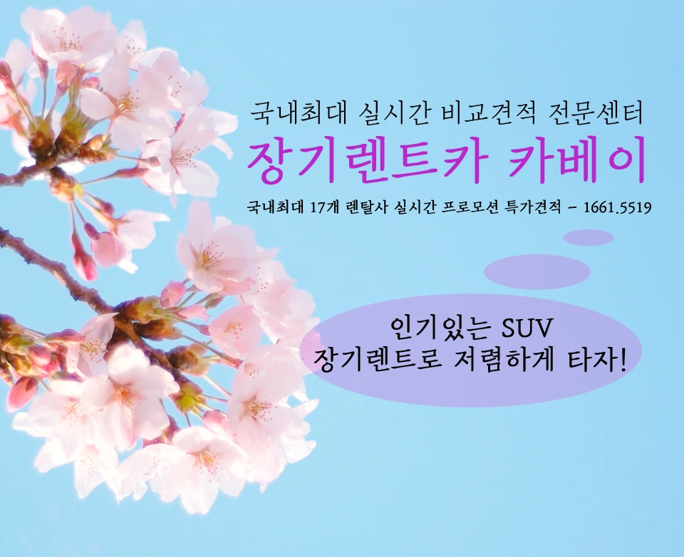 SUV TOP5위 - (8).JPG