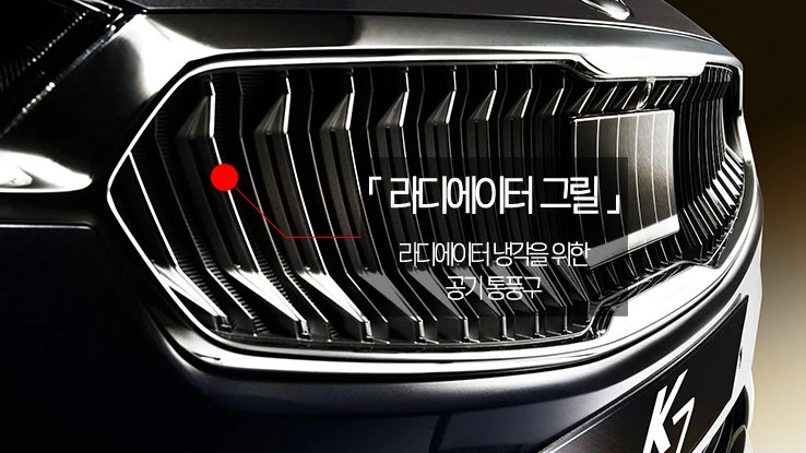 라디에이터 그릴.JPG