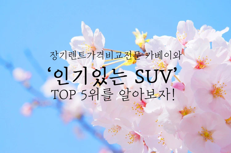 SUV TOP5위 - (1).JPG