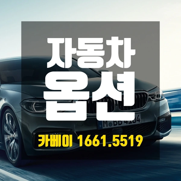 자동차 옵션.JPG