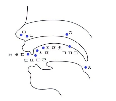 다운로드 (1).jpeg