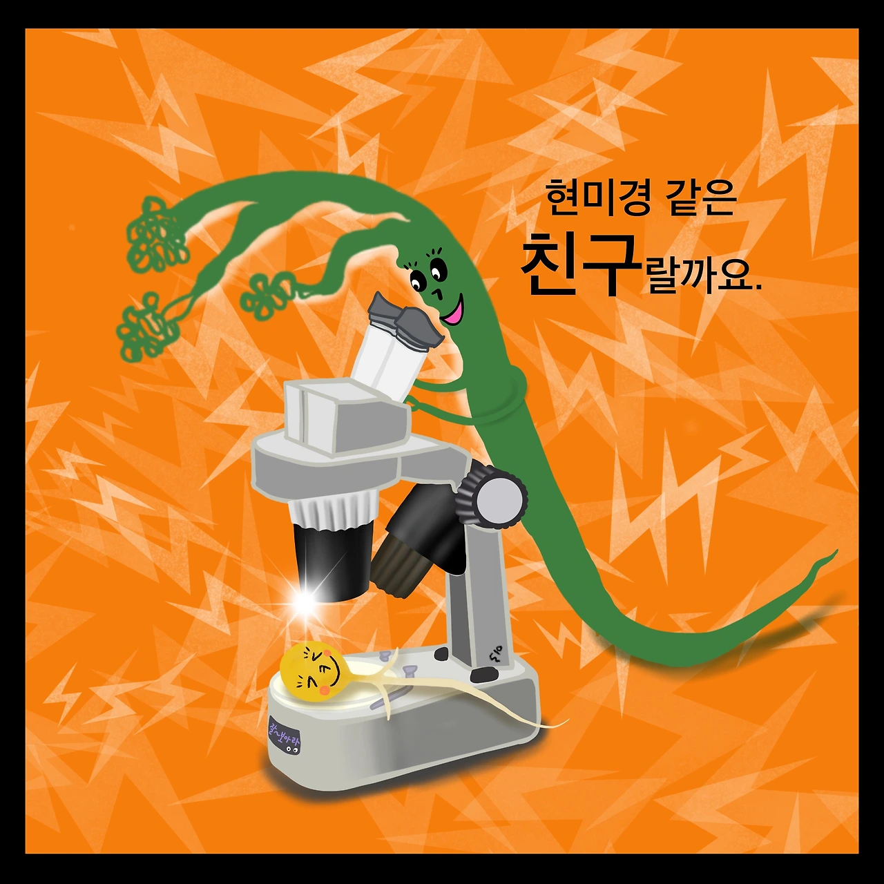 고사리는 소나무2.JPG