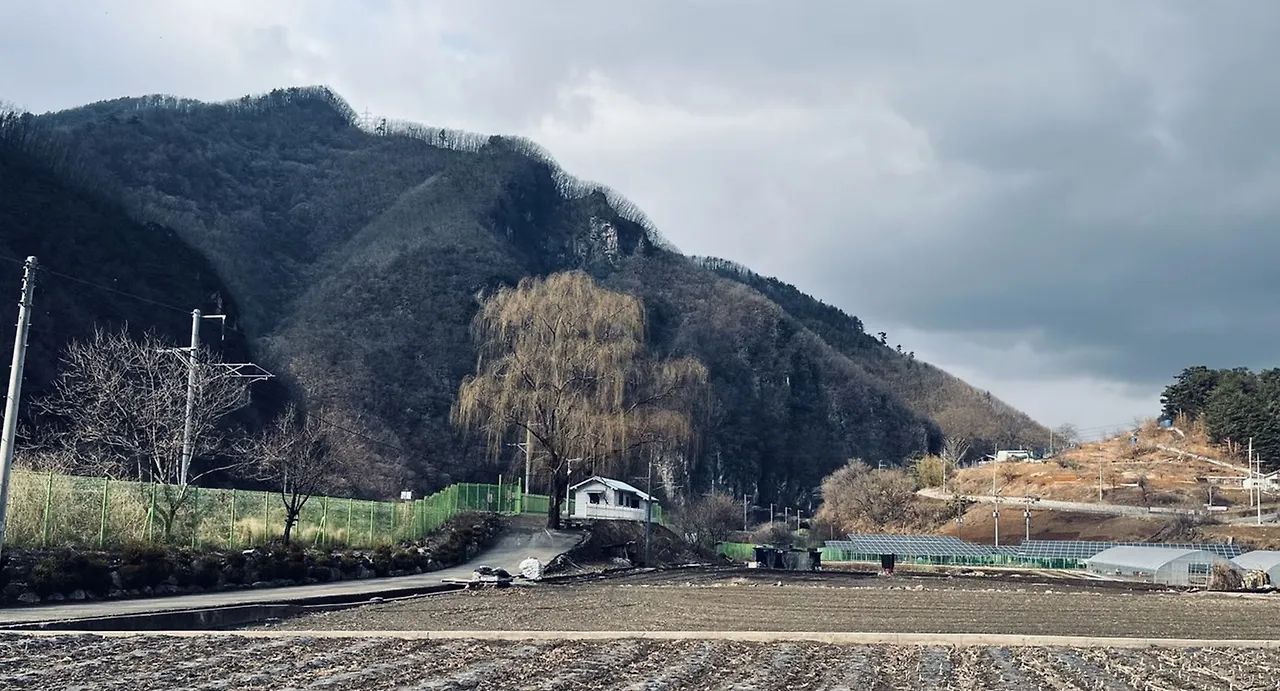 들판 끝 하고사리역.JPG