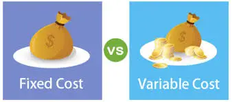 images?q=tbn:ANd9GcSZl-9qDP3jLdXo7_ySSL3-zDS-T0dPyAYUkQ&amp;usqp=CAU