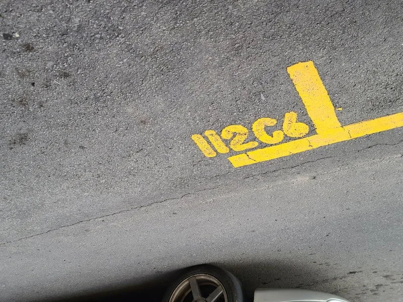 SE-eac42b42-78e5-4dfd-bb7e-b1835bc679db.jpg?type=w800