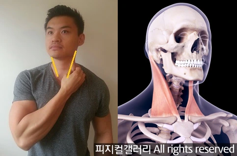 9936F8395A94DA4D2F5B1C