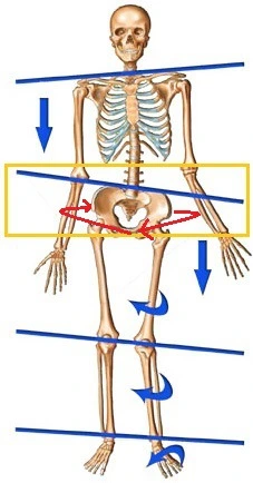 993E32475AA10D42278E9D