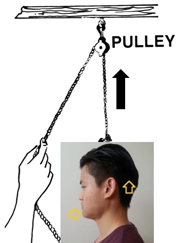 991D81335A94FB001F484E