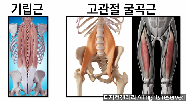 991B29435A8F80AA30AC3F