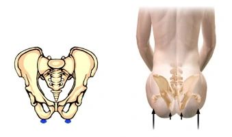 997AA2475AA1D8DF1253FC