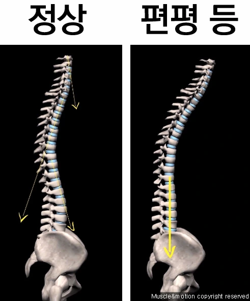 994D40475A8F6F460348D8