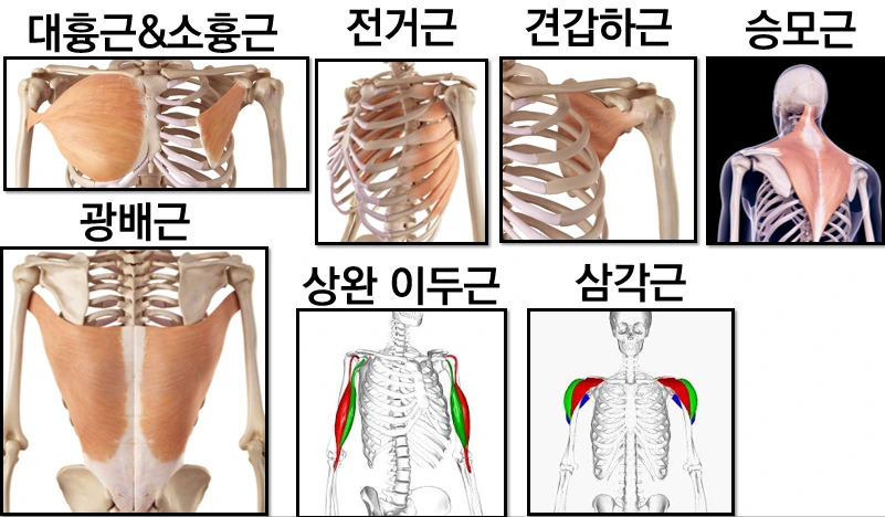 994942435A8D1DE52F8392