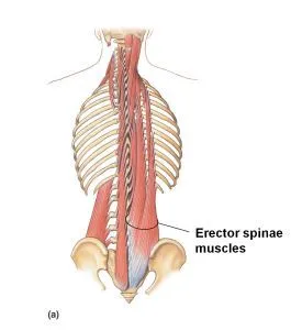 992C893D5AA094700256D4