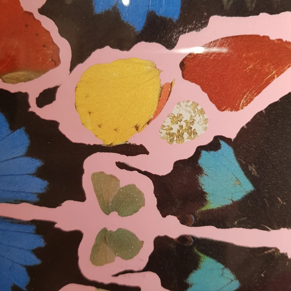 20190328_114129.jpg?type=w966