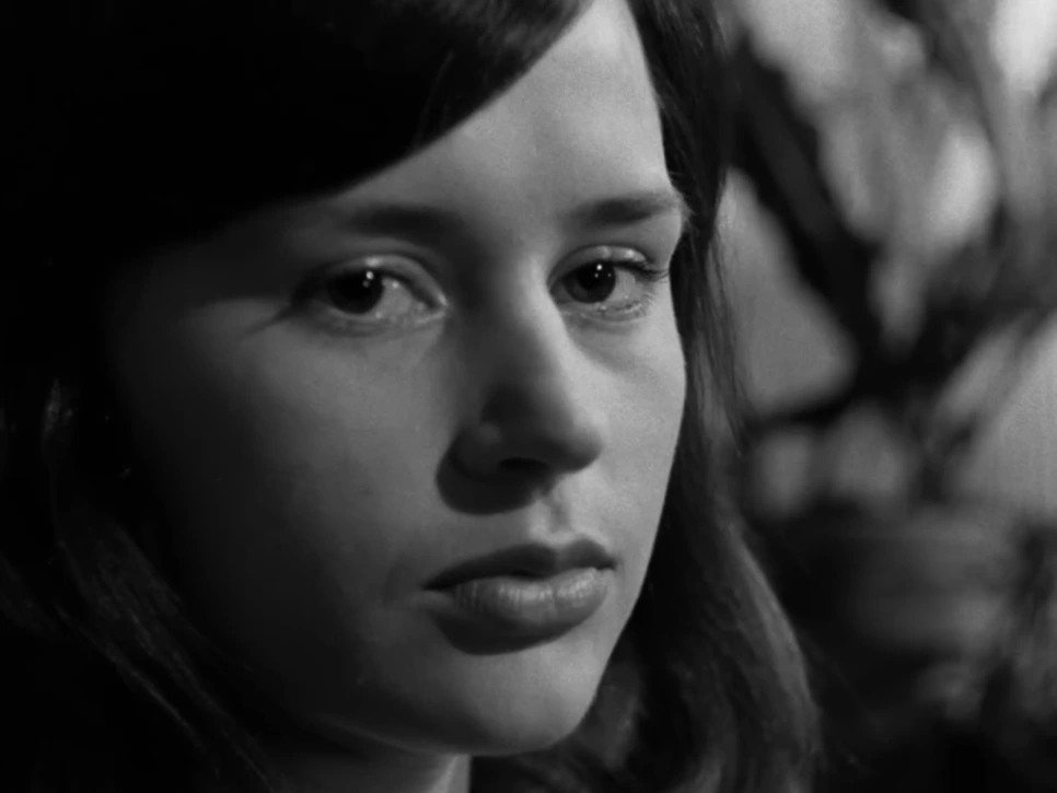 %EC%8A%A4%ED%81%AC%EB%A6%B0%EC%83%B7_2020-02-17_%EC%98%A4%ED%9B%84_11.04.52.png?type=w966