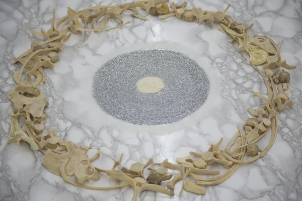 6cb4ac99-e19f-41e7-a404-cab556946bfb?t=1465465995000