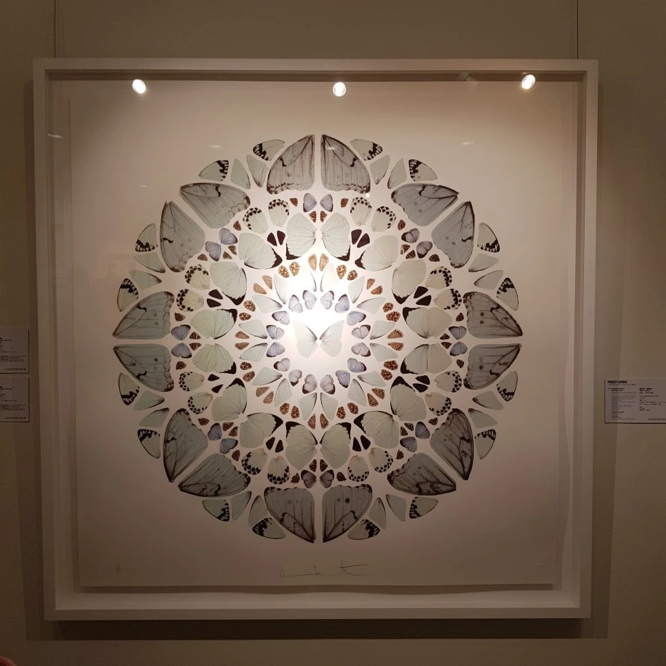 20190328_114137.jpg?type=w966