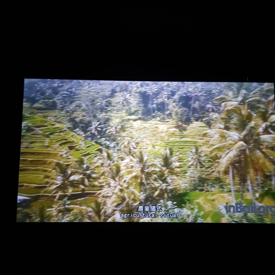 20190328_123531.jpg?type=w966