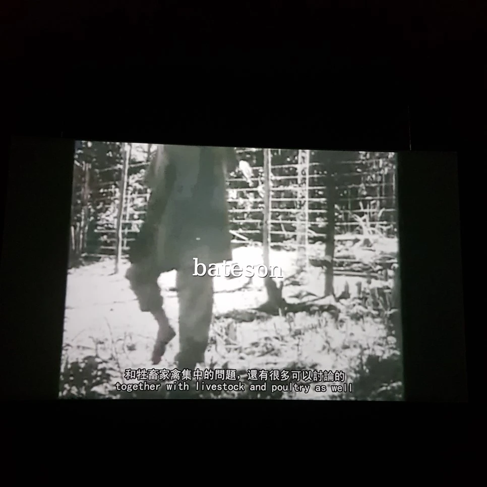 20190328_123603.jpg?type=w966