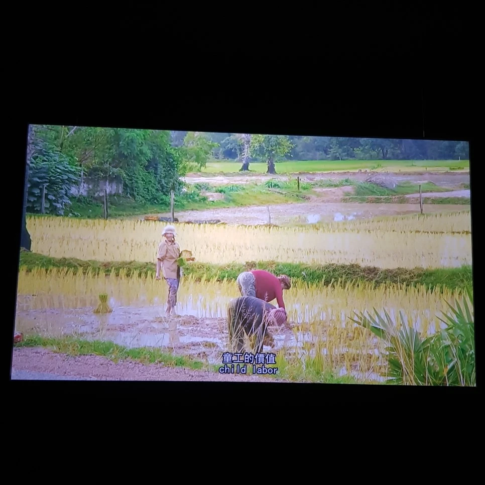 20190328_123527.jpg?type=w966