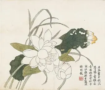 Jiezi_yuan_huazhuan_Lotus_Flowers,_Leaf_from_the_Mustard_Seed_Garden_Paintin.jpg?type=w966