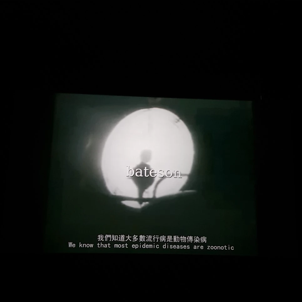 20190328_123607.jpg?type=w966