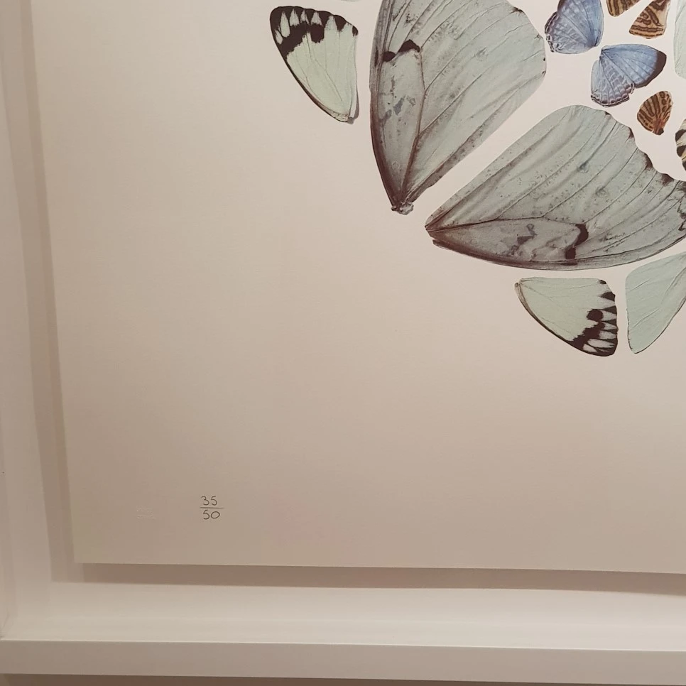 20190328_114209.jpg?type=w966