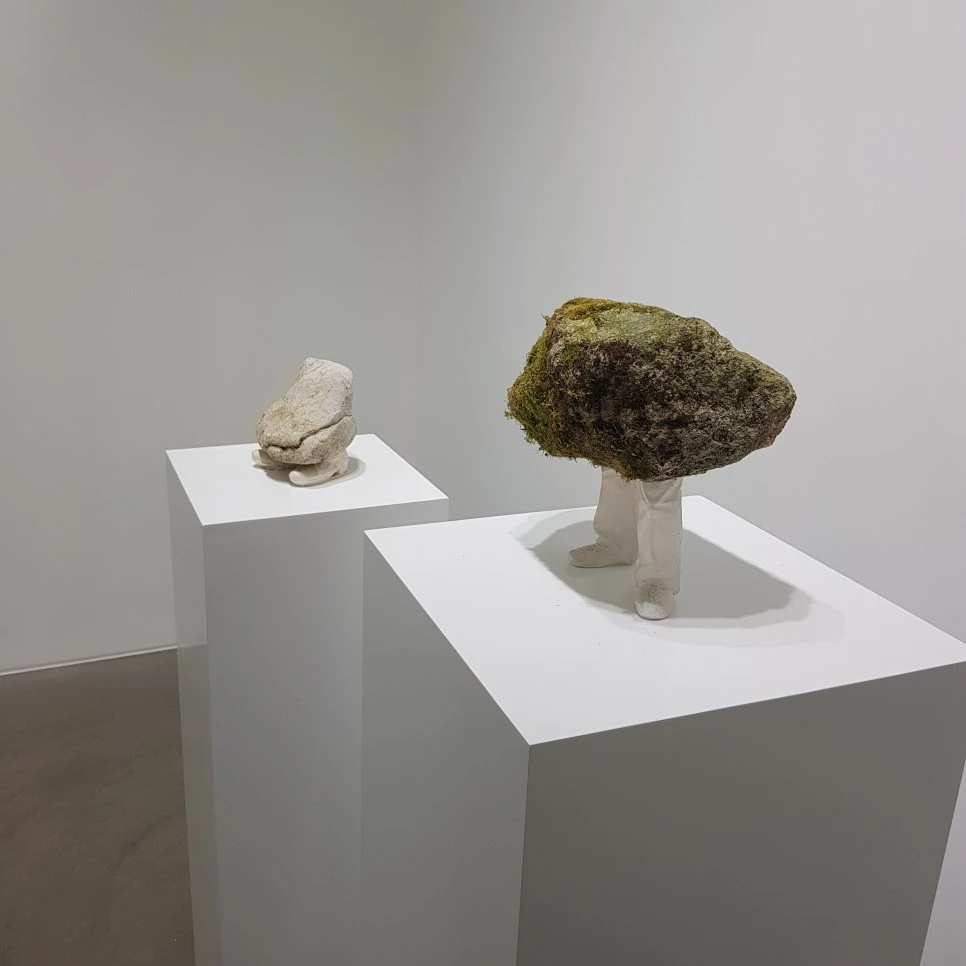 20190328_142446.jpg?type=w966