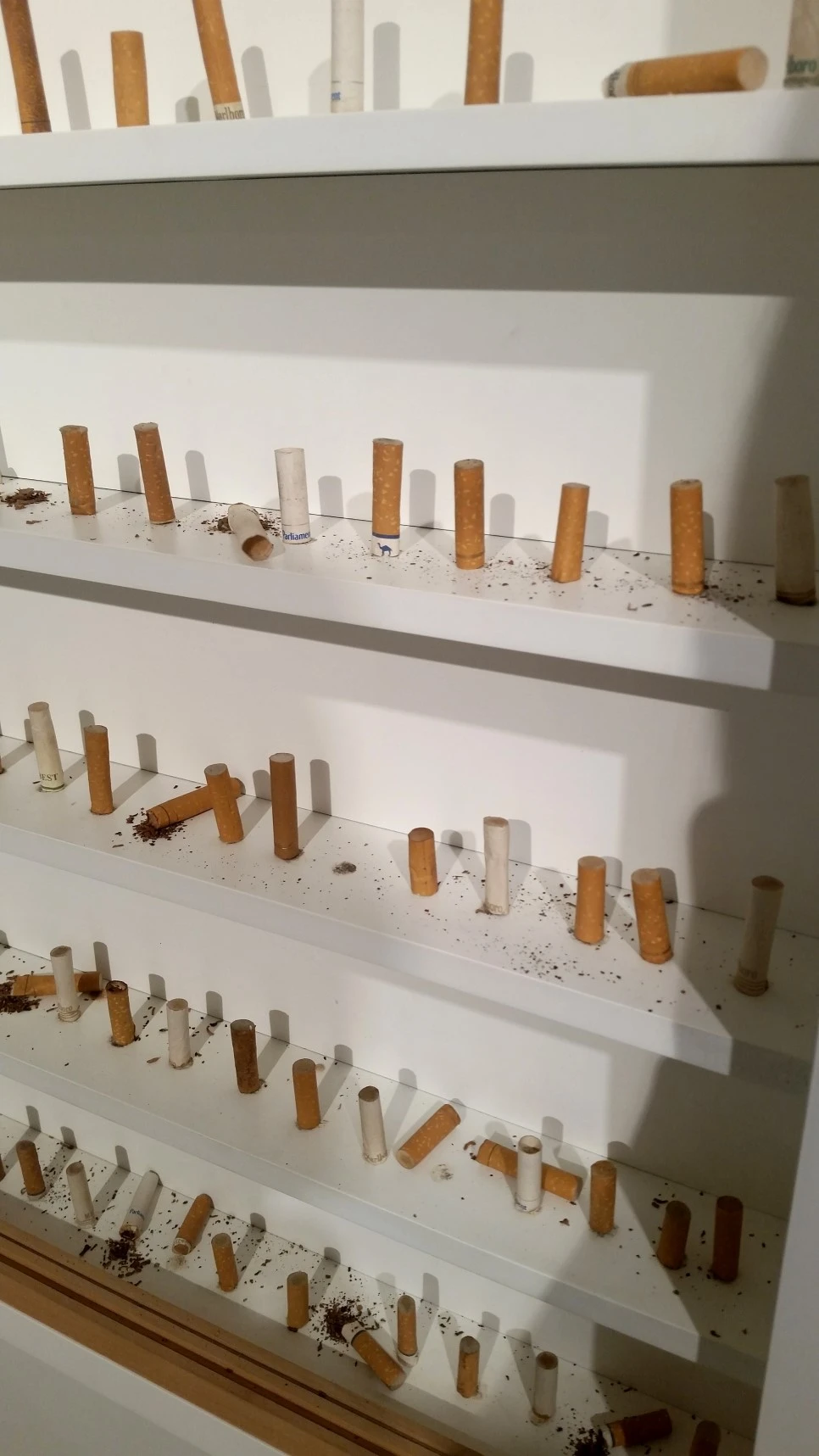 20170518_112035_%EC%82%AC%EB%B3%B8.jpg?type=w966