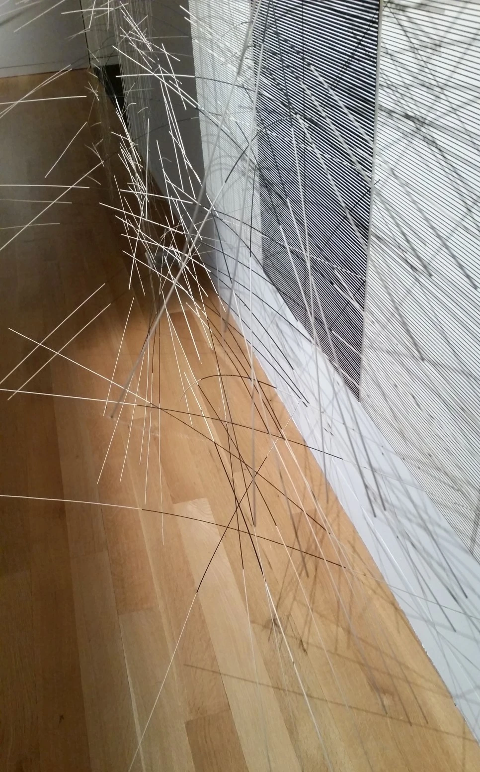 20170525_111624.jpg?type=w966