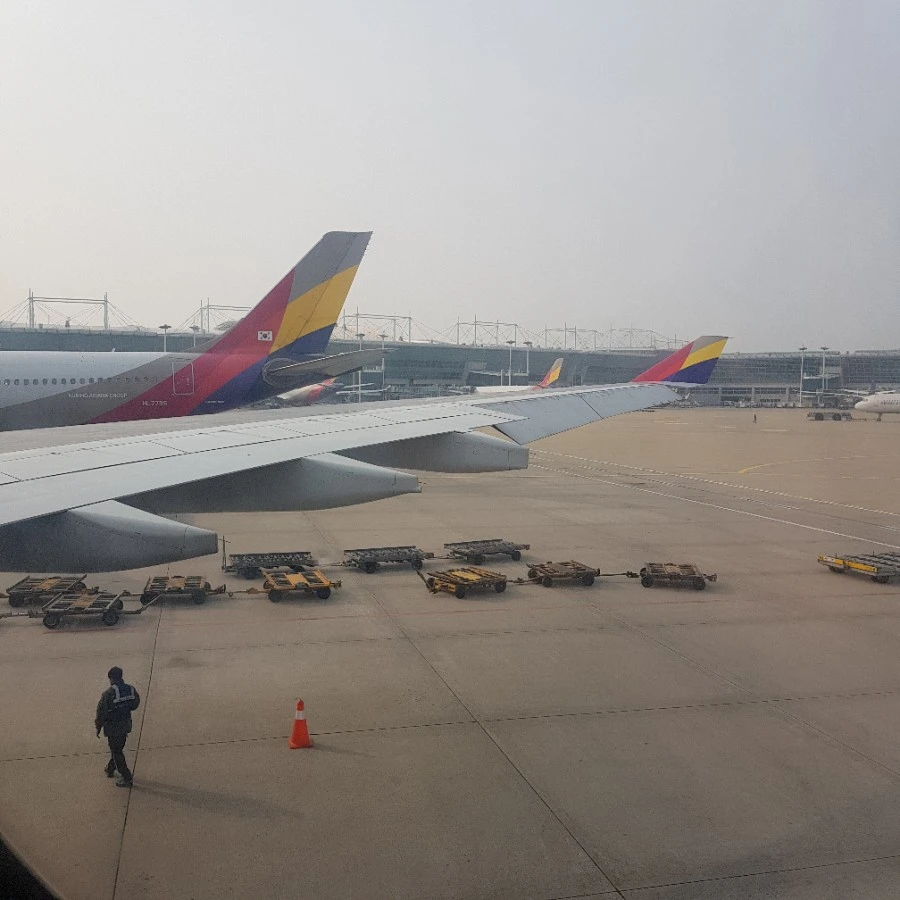 20190327_085543.jpg?type=w966