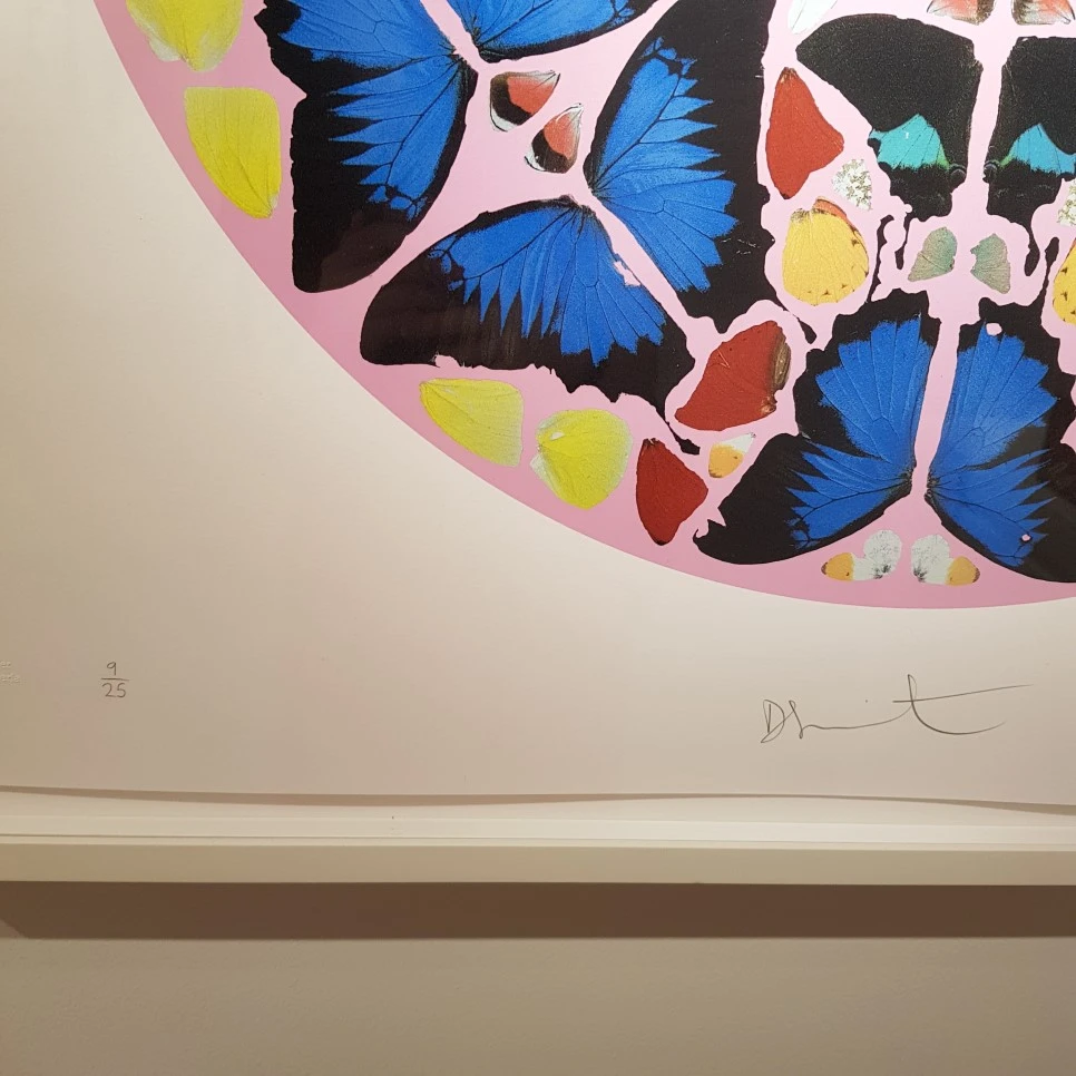 20190328_114056.jpg?type=w966