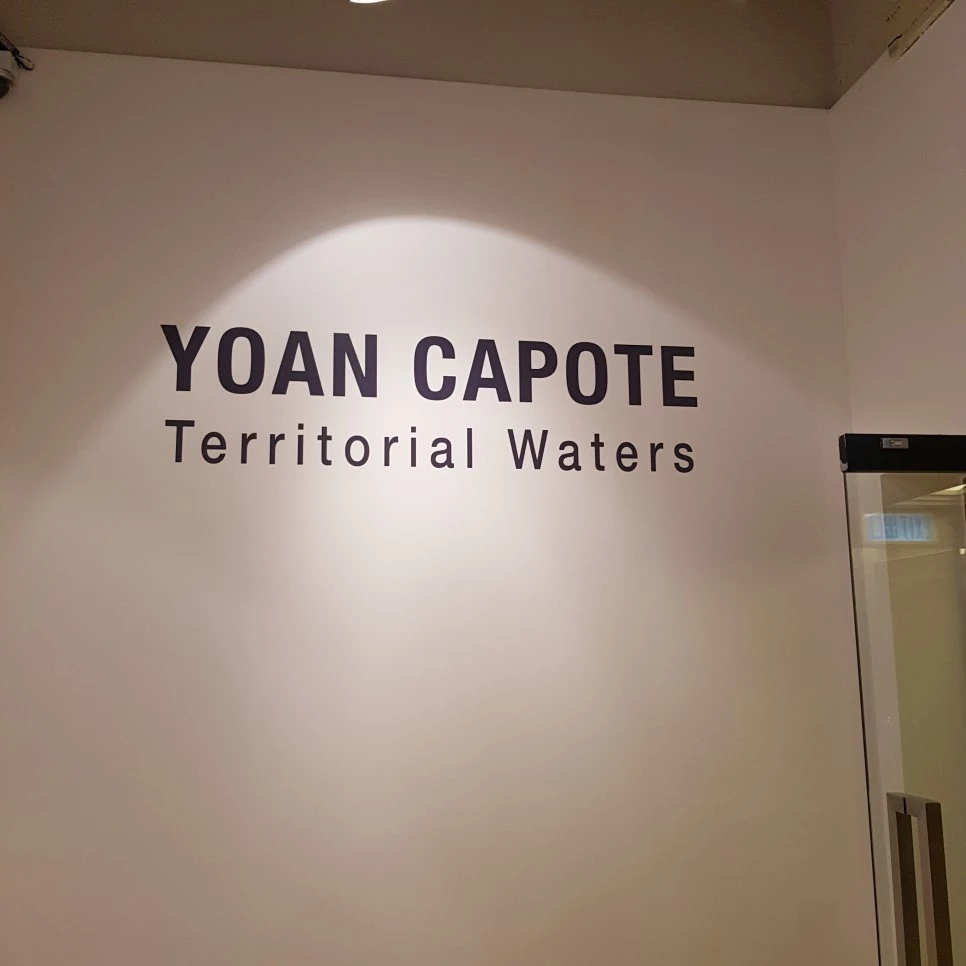 20190328_140359.jpg?type=w966