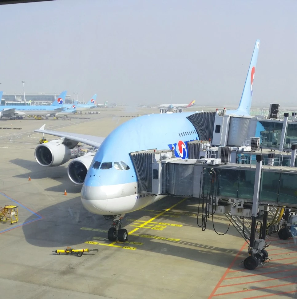 20170508_090147.jpg?type=w966