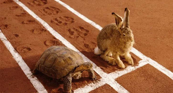토끼와 거북이.JPG