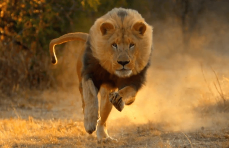 %EC%B6%94%EA%B2%A9.PNG?type=w773