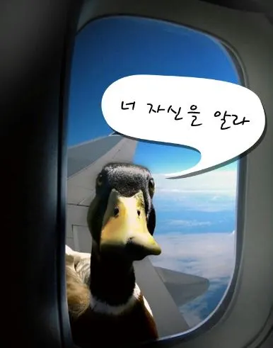 너 자신을 알라.JPG