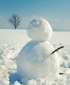 %EB%88%88%EC%82%AC%EB%9E%8C.PNG?type=w773