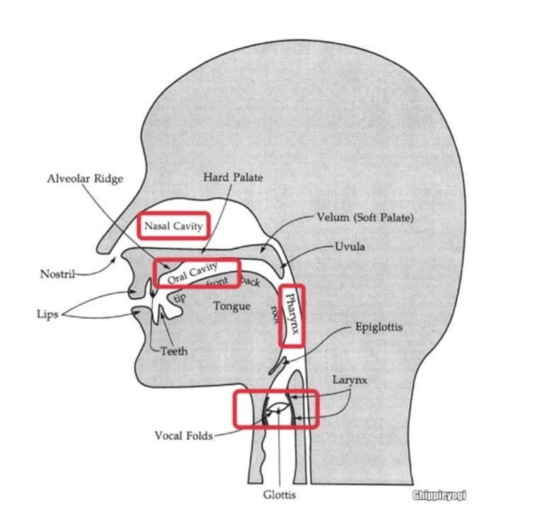 %EC%9D%8C%EC%84%B1%ED%95%99.PNG?type=w773